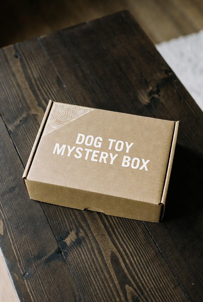 Dog Toy Mystery Box