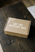 Cat Toy Mystery Box
