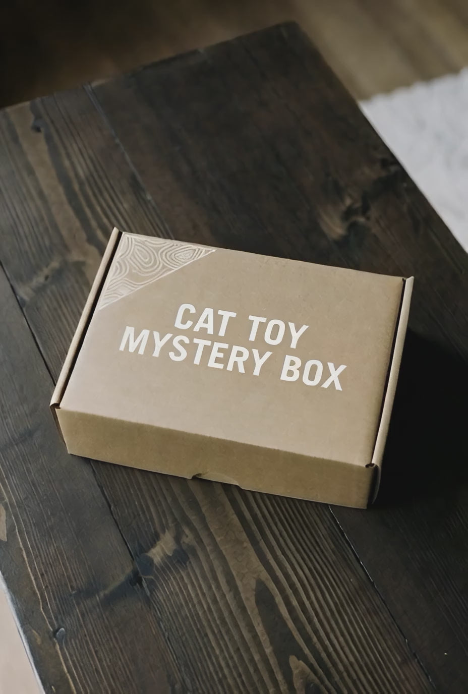 Cat Toy Mystery Box